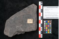 Foto (Objekt + Etikett) von Plantae indet.  (NHMW-GEO-2024-0188-11524)